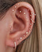 Cute Multiple Ear Piercing Curation Ideas for Women Cartilage Helix Surgical Stainless Steel Earrings Ring Hoop Clickers 16G - www.Impuria.com #earpiercings