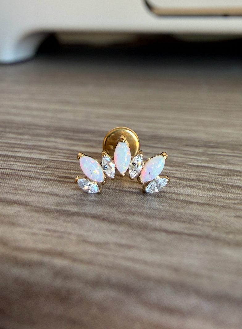 Noelle F.