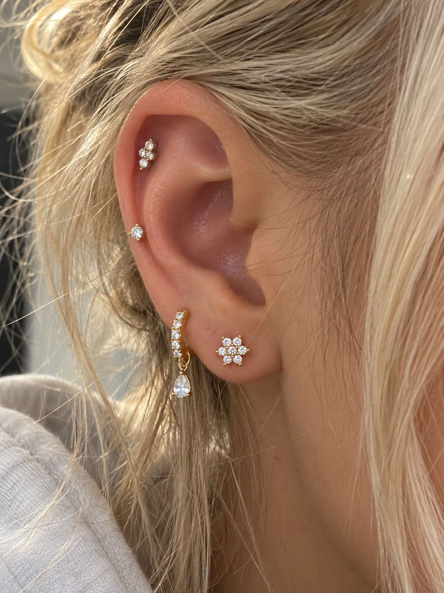 Sara B.