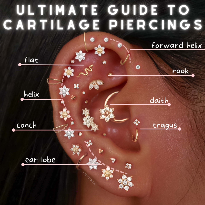 Basic Cartilage Piercing The Ultimate Guide to Cartilage Piercings in 2025 by Impuria Jewelry