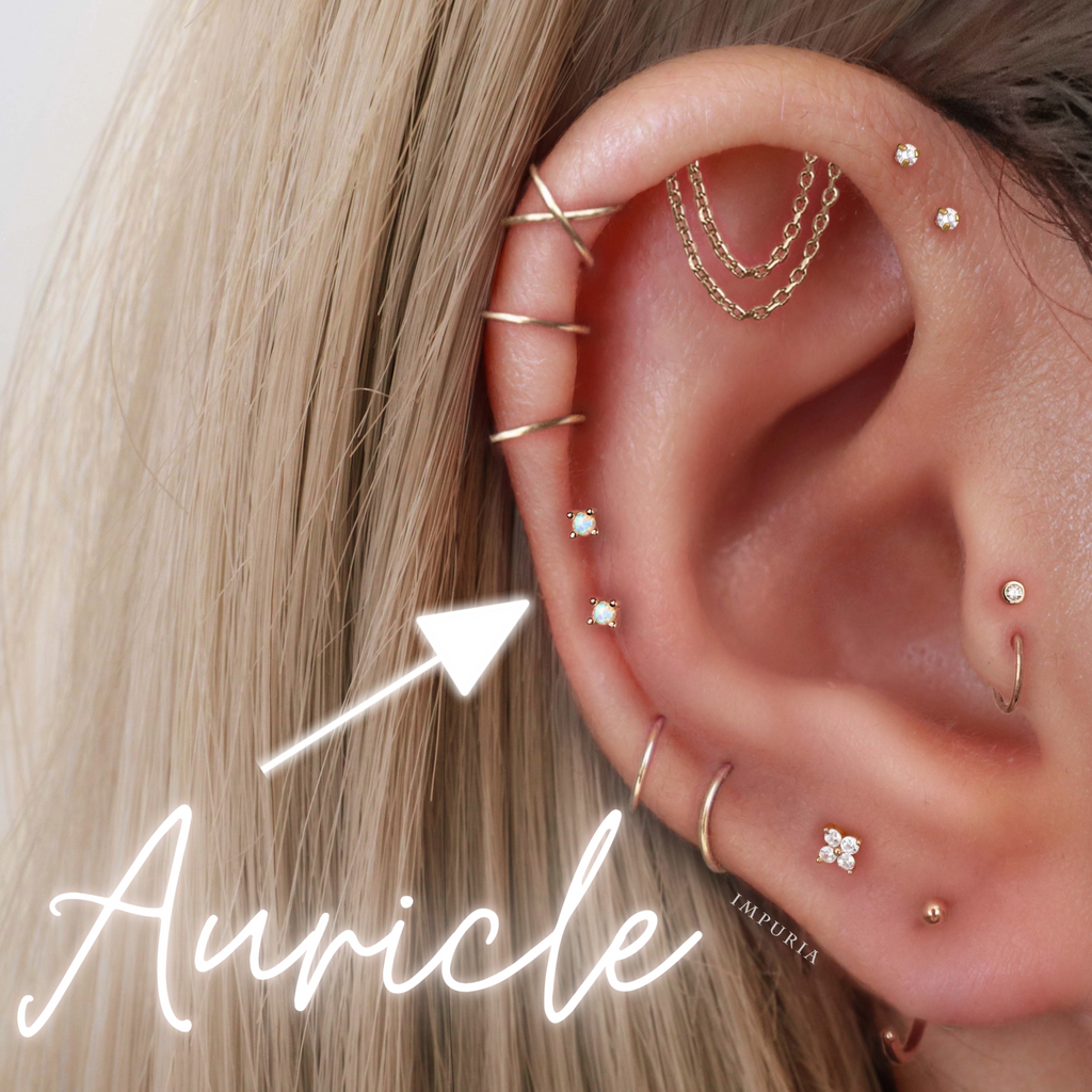 Ear Piercing For Rim Auricle Earrings | Cartilage Studs & Hoops | Impuria Piercing Jewelry