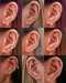 Cartilage Ring Hoop Clicker Earrings 16G Multiple Ear Curation Piercing Ideas for Women