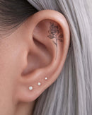 The Classic Tapered Flat Back Stud Capsule