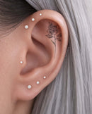 The Classic Tapered Flat Back Stud Capsule