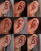 Dynasty Six Crystal Prong Leaf Ear Piercing Earring Stud