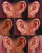Vida Crystal Marquise Ear Piercing Stud