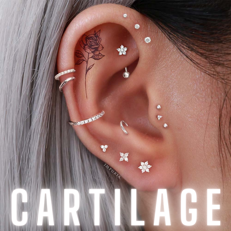 Impuria Ear Piercing Jewelry Cartilage Earrings Studs Hoops