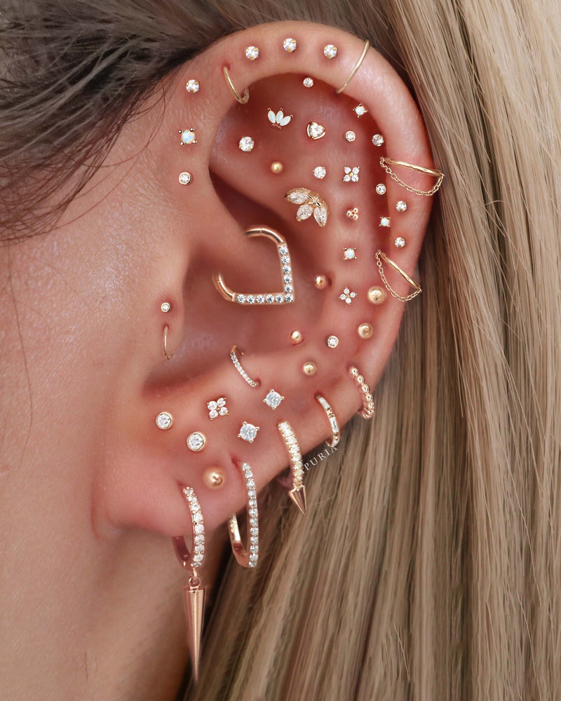 Cartilage All Different Types Of Ear Piercings Ear Cartilage All