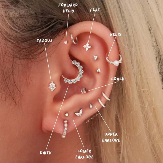 Piercing Chart Best Jewelry For Ear Piercing Who Pierces Ears In