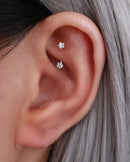 Nova Star Curved Barbell