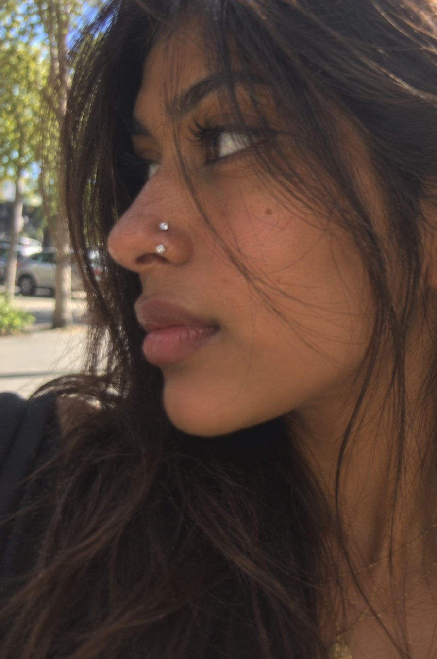 Sunita S.