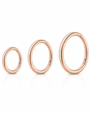 The Polished Tapered Hoop Capsule