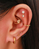 Cute Bee Daith Ear Piercing Jewelry Ideas Gold Ring Hoop 16G - www.Impuria.com