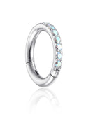 Glitter Aurora Borealis Crystal Pave Eternity Hinged Segment Hoop Ring Clicker