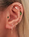 Cartilage Piercing Jewelry Ring Hoop Clicker Earring for Helix Tragus Rook Conch - www.Impruria.com