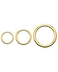 Gold Cartilage Ring Hoop Clicker Earring 16G 8mm 316L Surgical Stainless Steel - www.Impuria.com 